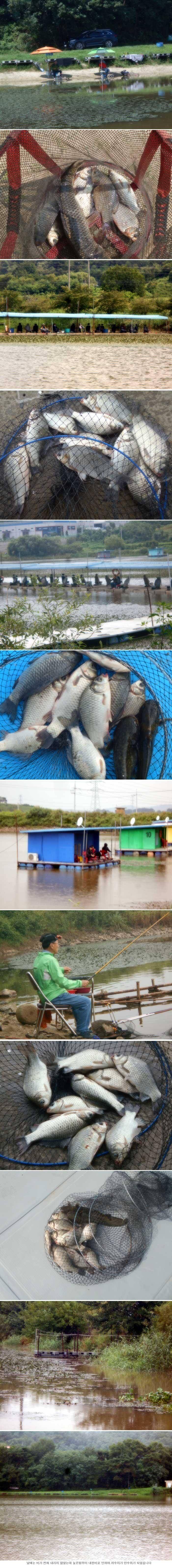 9월 기분좋은 만수위로 출발합니다 (유료터정보 - 유료터점주조황)