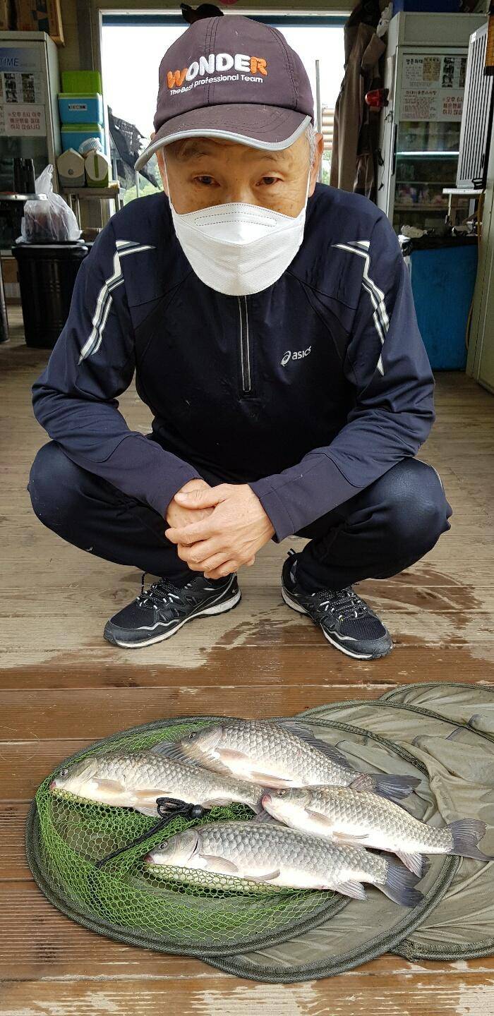 붕어조황도 안정권 수위도 안정권 (유료터정보 - 유료터점주조황)