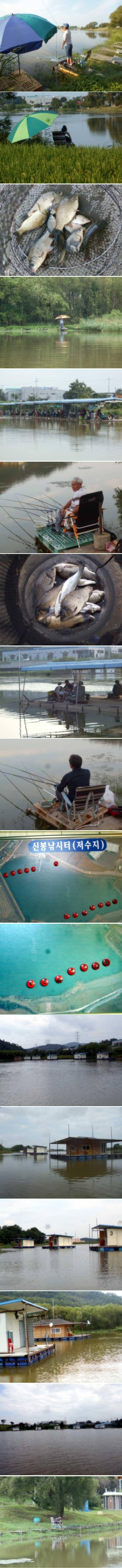 말로만 초강력 태풍이 지나고 (유료터정보 - 유료터점주조황)