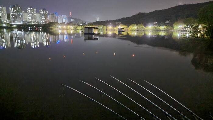 아산 명품 월랑낚시터 4월 세번째 조황 이야기입니다 (유료터정보 - 유료터점주조황)