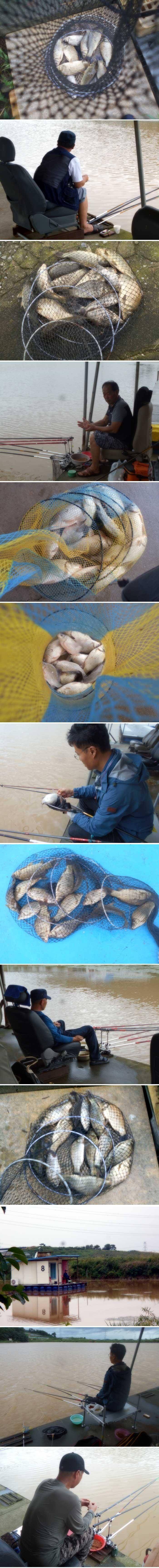 손맛 충분하게 볼수가 있습니다 (유료터정보 - 유료터점주조황)