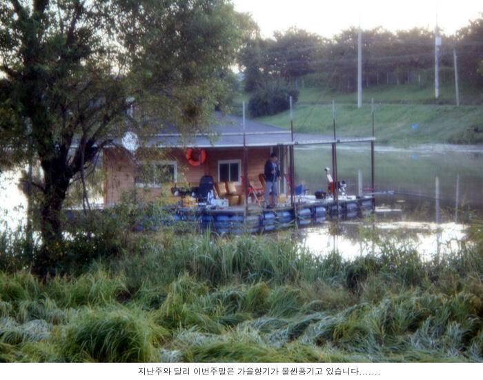 벌써 가을냄새가 풍겨오는군요 (유료터정보 - 유료터점주조황)