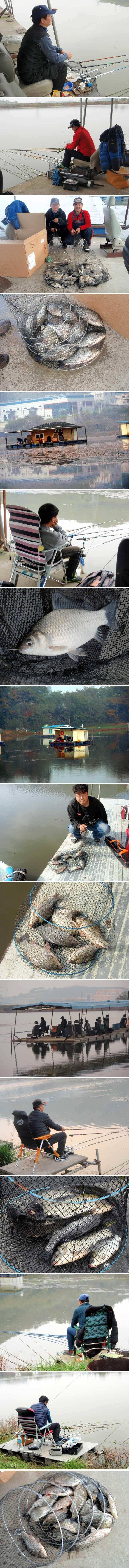 잔교좌대에서 진한 손맛을 (유료터정보 - 유료터점주조황)