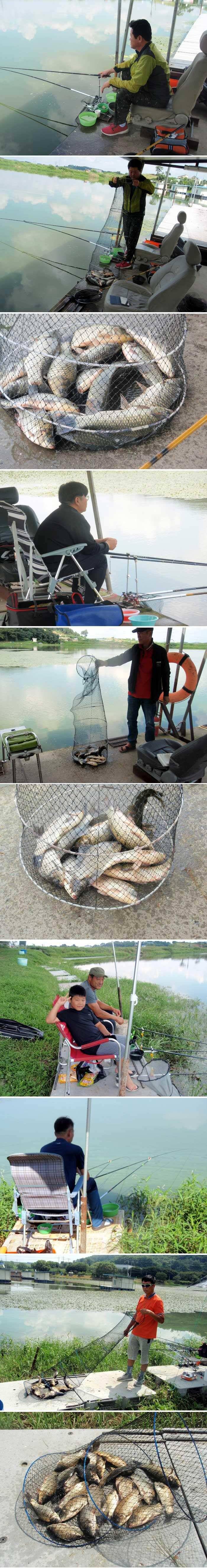 예상이 적중하고 있습니다 (유료터정보 - 유료터점주조황)