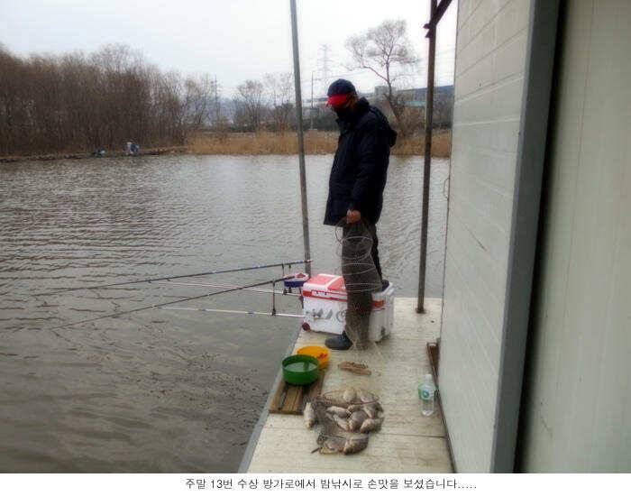 2월 마지막 주말 조황입니다 (유료터정보 - 유료터점주조황)