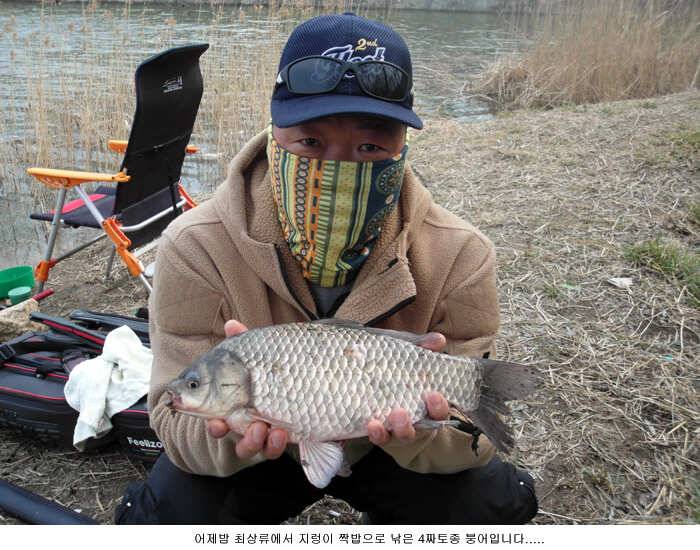 토종 4짜 월척급들이 (유료터정보 - 유료터점주조황)