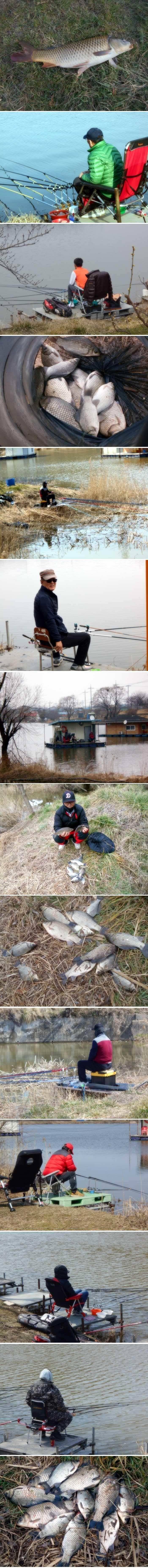 꾸준하게 붕어를 방류합니다 (유료터정보 - 유료터점주조황)