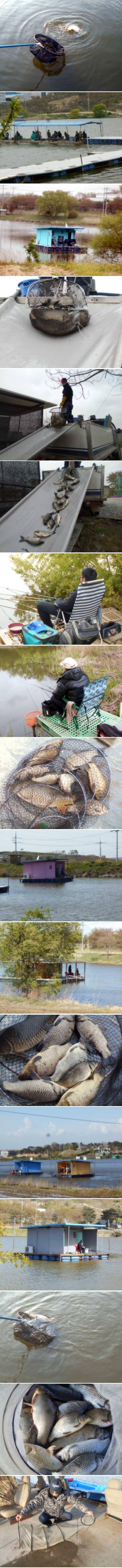 북서풍이 강하게 불어준 주말에 (유료터정보 - 유료터점주조황)