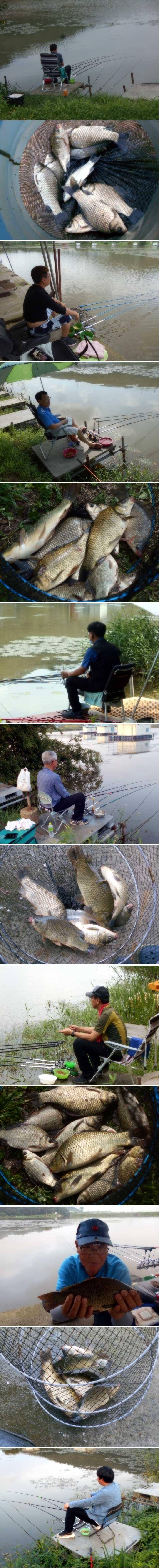 낮낚시는 참으시고 밤낚시를 하세요 (유료터정보 - 유료터점주조황)