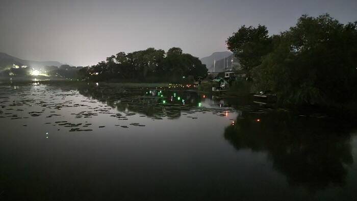 아산 명품 월랑낚시터 6월 첫번째 조황이야기입니다 (유료터정보 - 유료터점주조황)
