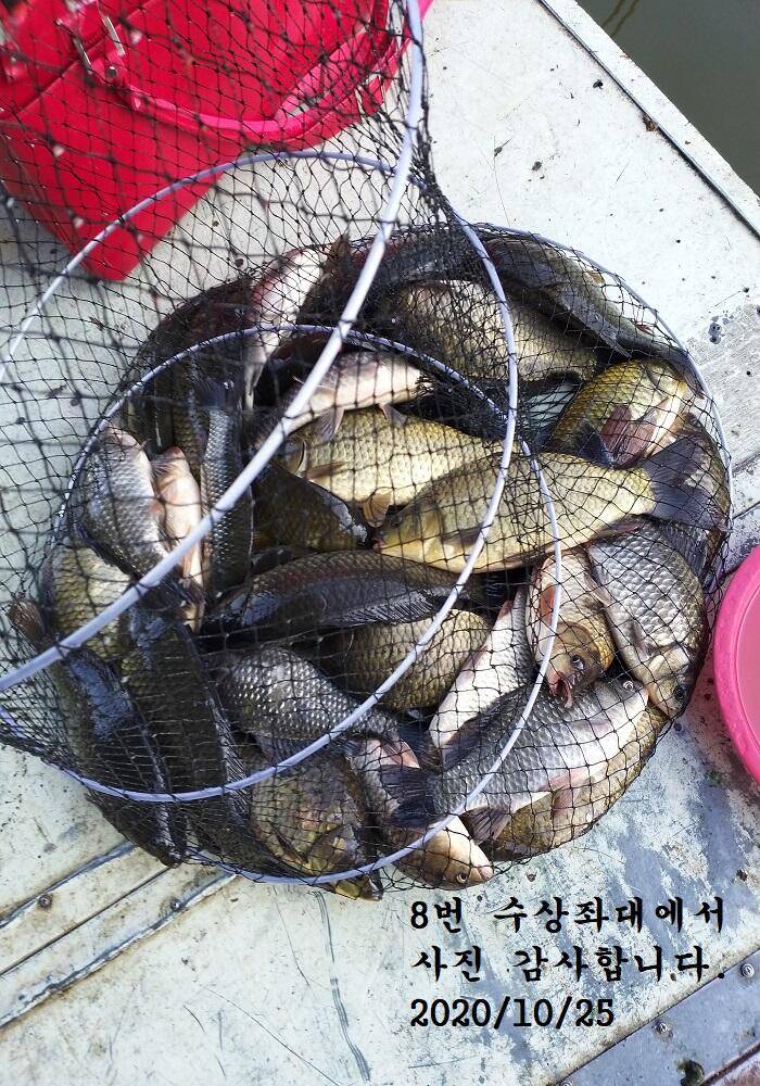 아산신수지 11월 마지막날 화보입니다 (유료터정보 - 유료터점주조황)