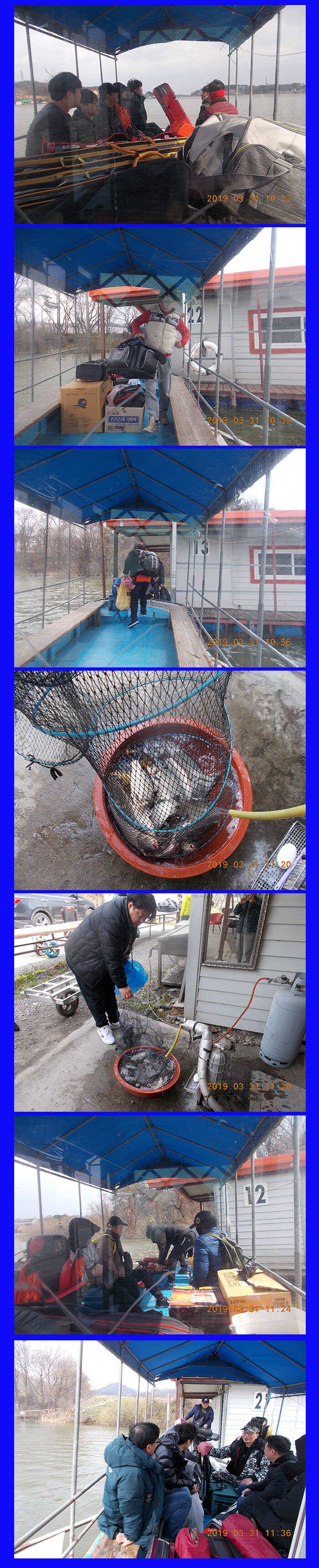 봉재낚시터 3월 31일일 조황 (유료터정보 - 유료터점주조황)