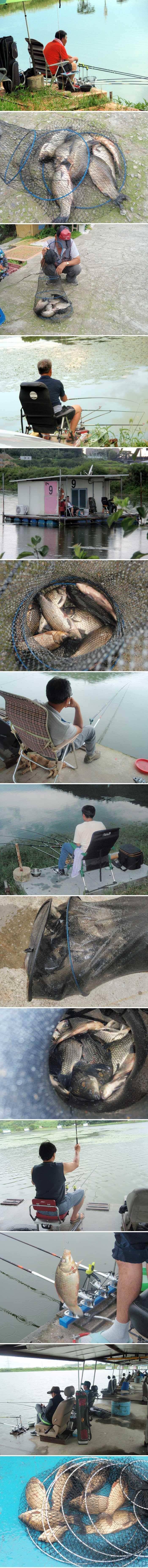 오름수위의 신봉지는 (유료터정보 - 유료터점주조황)