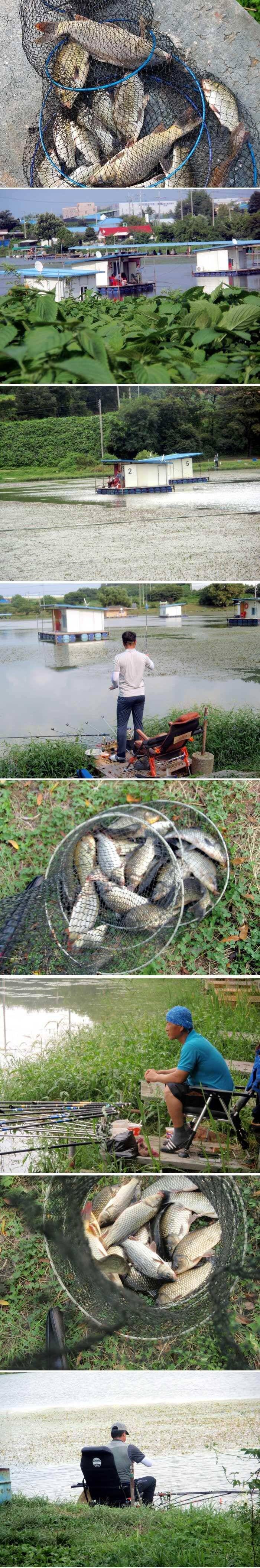 낚시하기에 정말 좋은 조건입니다 (유료터정보 - 유료터점주조황)