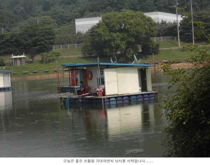 주말 좋은 조황을 기대하면서 (유료터정보 - 유료터점주조황)