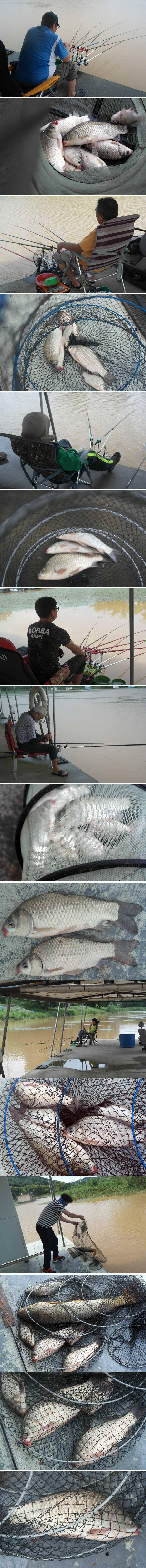 주말만되면 극한 폭우가 예보되어 (유료터정보 - 유료터점주조황)