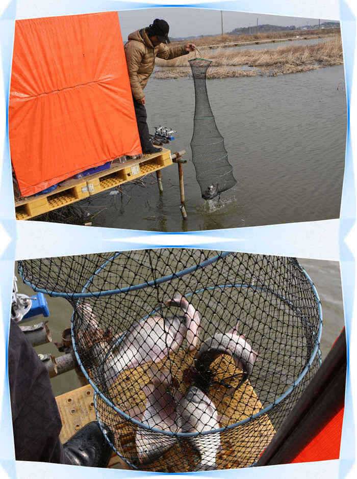■■■ 노진낚시터 노지에 산란직전 시원한 토종붕어떡붕어 입질활발 ■■■ (유료터정보 - 유료터점주조황)