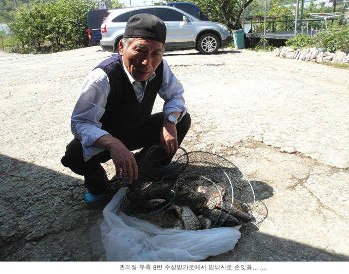 배수기에 이정도 조황이면 (유료터정보 - 유료터점주조황)