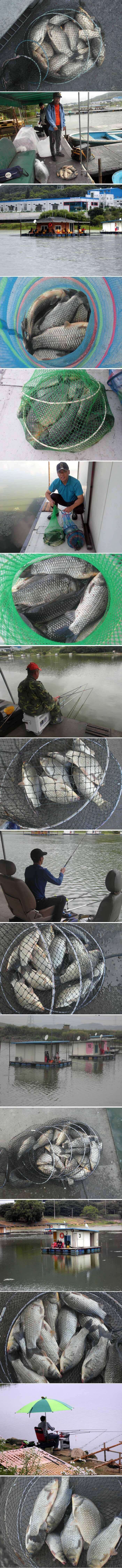 밤낚시가 정말 좋아졌습니다 (유료터정보 - 유료터점주조황)