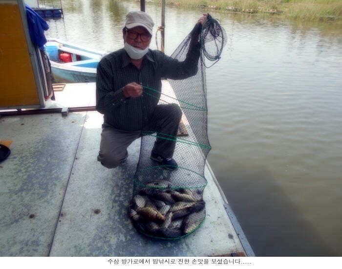 배수기에 이정도 조황이면 (유료터정보 - 유료터점주조황)