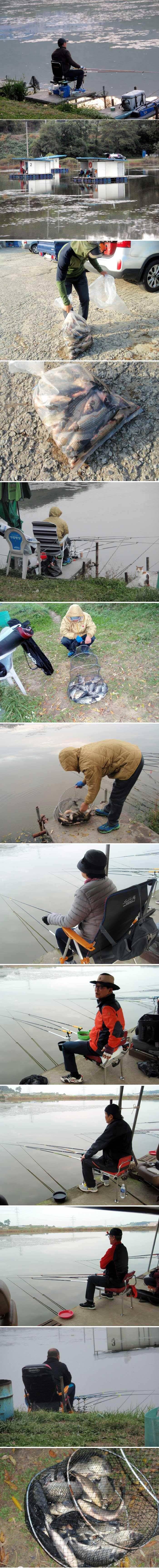 추워도 밤낚시에 붕어가 나오네요 (유료터정보 - 유료터점주조황)