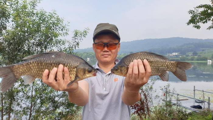 아산 명품 월랑낚시터 7월 첫번째 조황이야기입니다 (유료터정보 - 유료터점주조황)