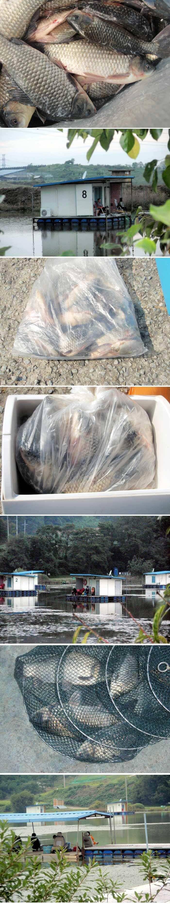 가을이 깊어가고 있습니다 (유료터정보 - 유료터점주조황)