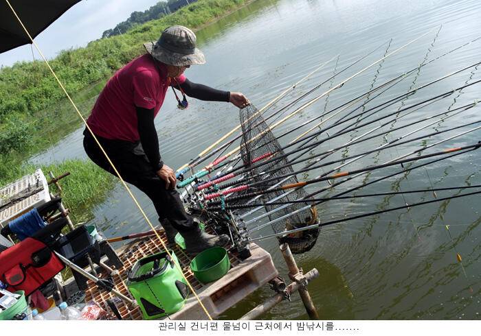 방류도하고 조황도 올리고 (유료터정보 - 유료터점주조황)