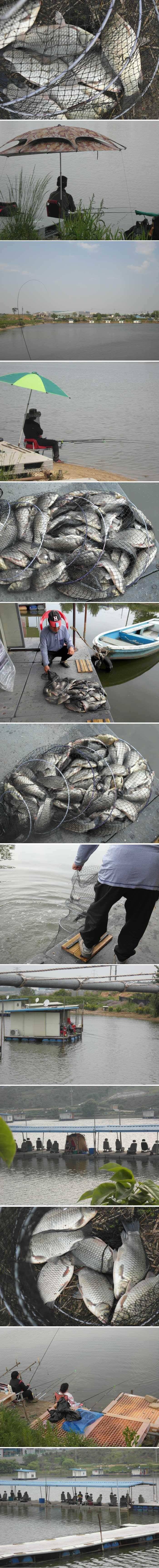 오늘도 풍성한 조과를 드립니다 (유료터정보 - 유료터점주조황)
