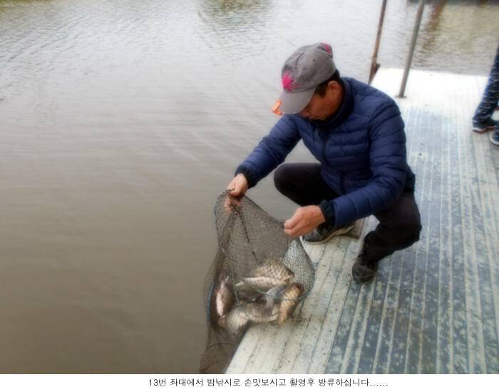 추위만 이긴다면 조황은 (유료터정보 - 유료터점주조황)