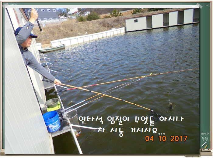 도심속의 작은 쉼터 화성 관리 낚시터입니다좋습니다 (유료터정보 - 유료터점주조황)