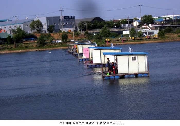 언제나 오시려나 (유료터정보 - 유료터점주조황)