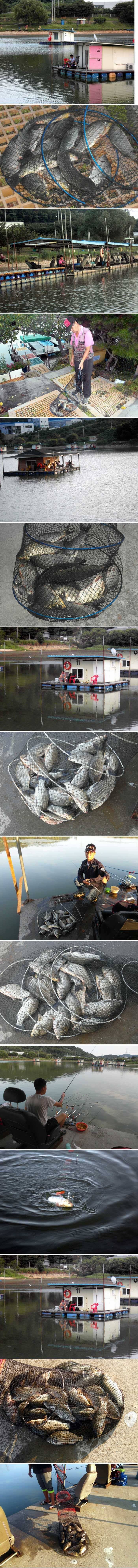 손맛 보시려면 출조하세요 (유료터정보 - 유료터점주조황)