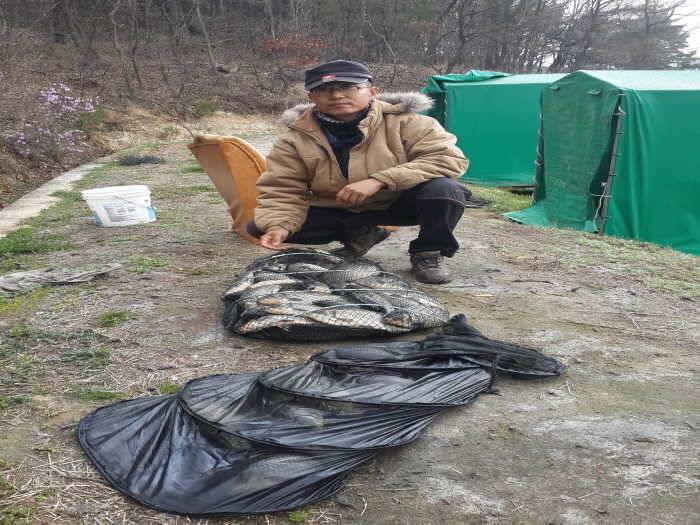 경주동산낚시터 (유료터정보 - 유료터점주조황)