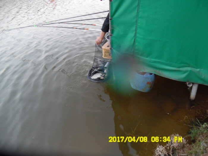 경주동산낚시터 (유료터정보 - 유료터점주조황)