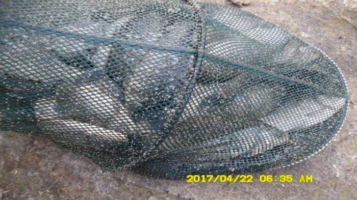 경주동산낚시터 (유료터정보 - 유료터점주조황)