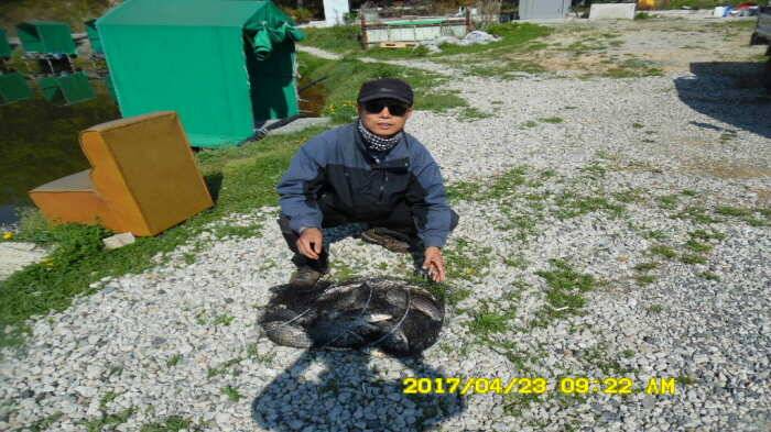 경주동산낚시터 (유료터정보 - 유료터점주조황)