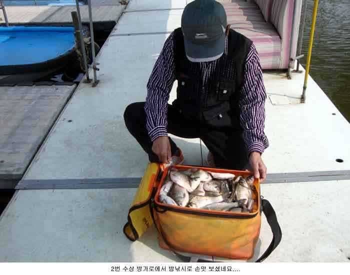 신봉지 밤낚시해 보세요 (유료터정보 - 유료터점주조황)