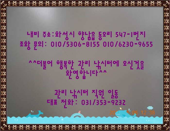 도심속의 작은 쉼터 화성 관리 낚시터입니다즐거움의 연속 (유료터정보 - 유료터점주조황)
