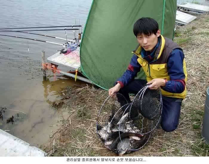 신봉지 어제부터 산란중 입니다 (유료터정보 - 유료터점주조황)