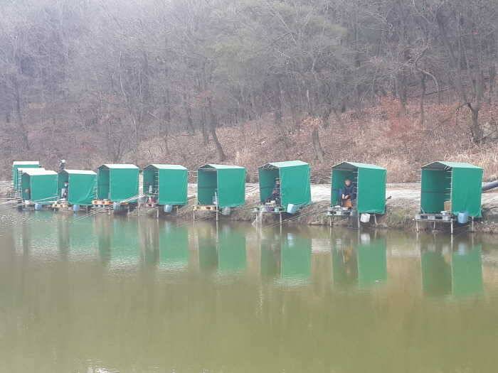 경주동산낚시터 (유료터정보 - 유료터점주조황)