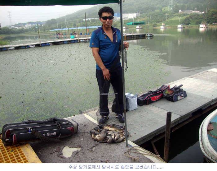 광복절 신봉지 조황입니다 (유료터정보 - 유료터점주조황)