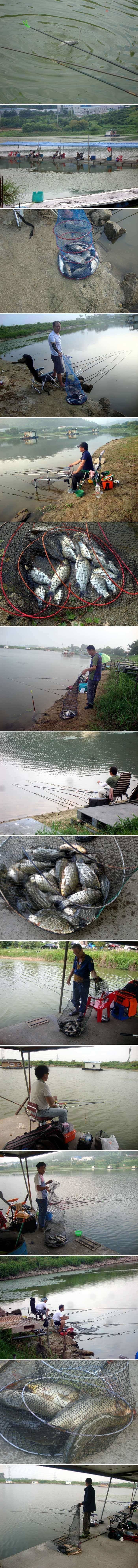 광복절 신봉지 조황입니다 (유료터정보 - 유료터점주조황)