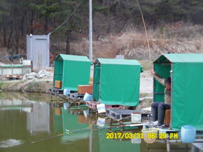 경주동산낚시터 (유료터정보 - 유료터점주조황)