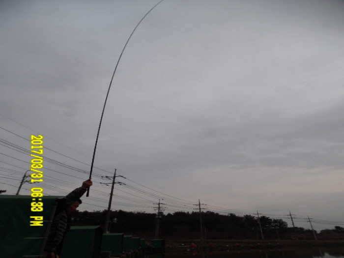경주동산낚시터 (유료터정보 - 유료터점주조황)