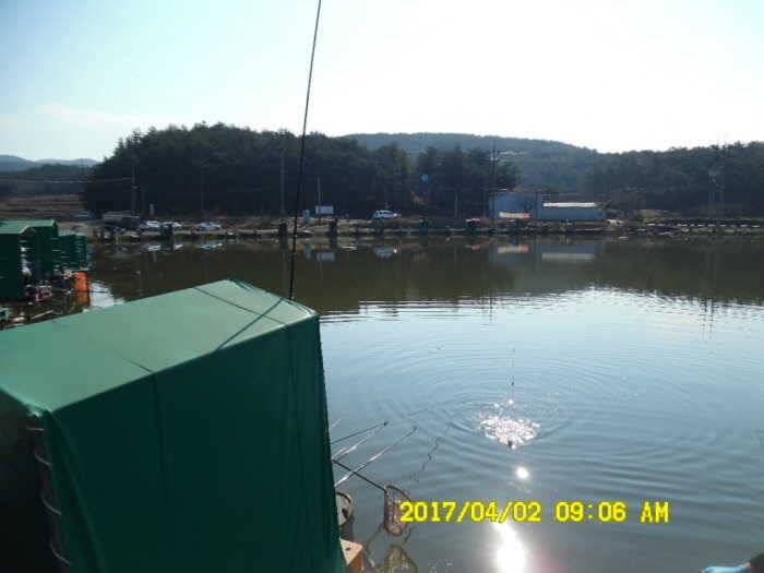 경주동산낚시터 (유료터정보 - 유료터점주조황)