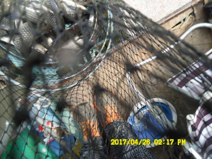 경주동산낚시터 지난주 조황 (유료터정보 - 유료터점주조황)