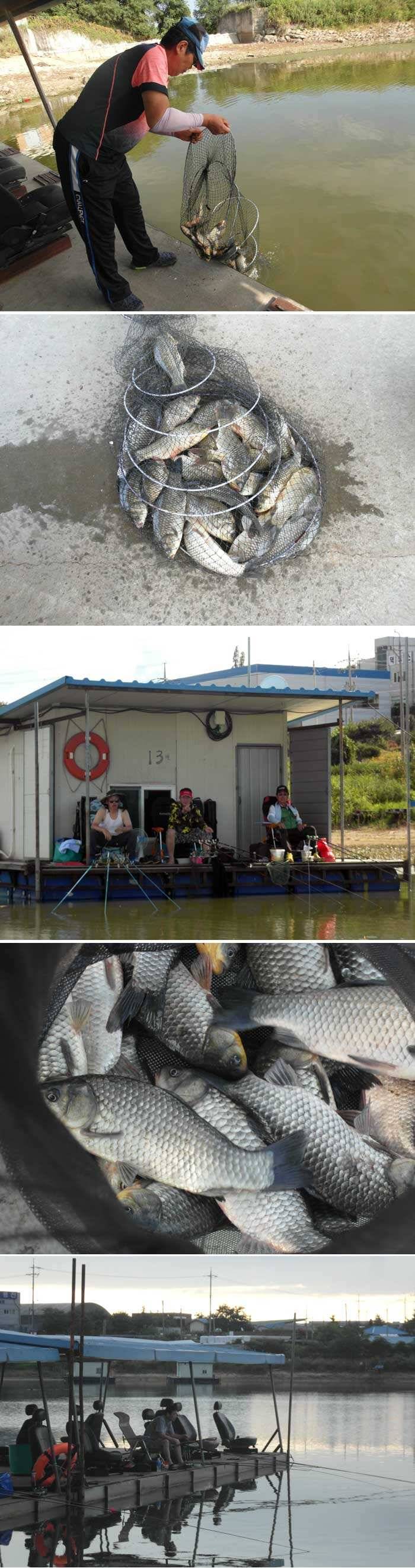 조건은 최악인데 조황은 최상입니다 (유료터정보 - 유료터점주조황)