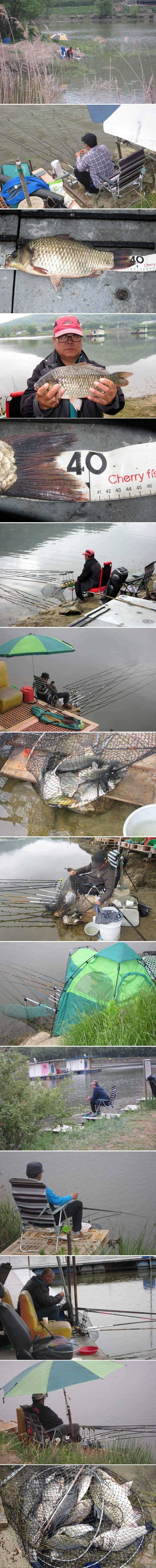 오늘도 4짜 토종월척이 (유료터정보 - 유료터점주조황)
