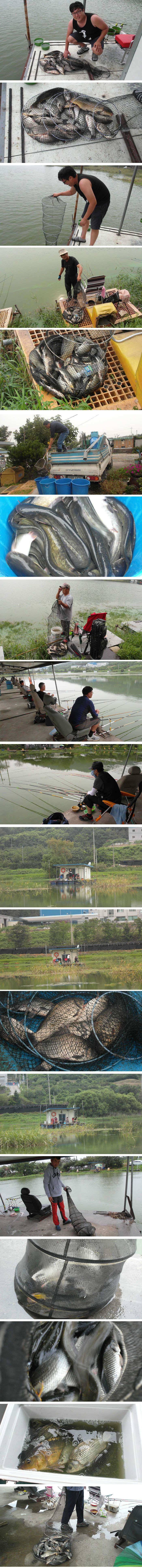 이제는 낚시하기 딱 좋은가을이 오려나 봅니다 (유료터정보 - 유료터점주조황)